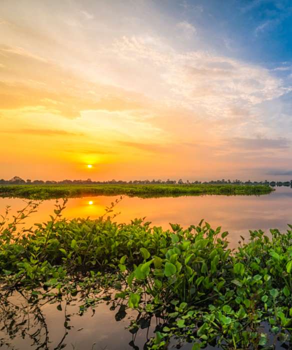 Exploring the Hidden Gem of Assam: Jorhat