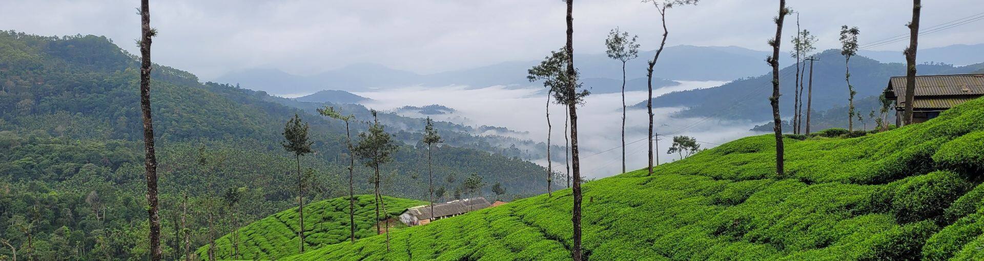 A Journey to Paradise: Explore the Mesmerising Hill Stations of Karnataka