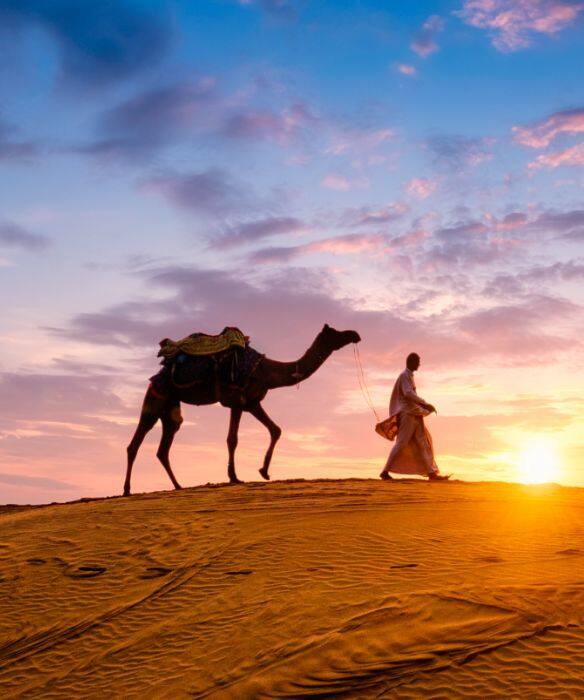 Camels Castles And Culture Unveiling the Magic of Rajasthan