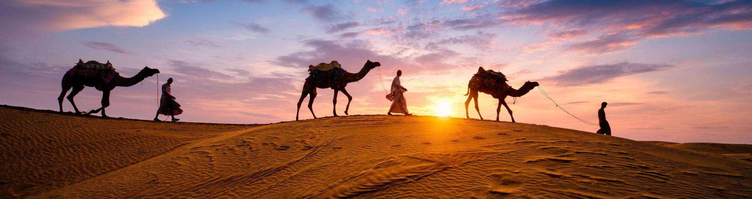 Camels, Castles, and Culture: Unveiling the Magic of Rajasthan