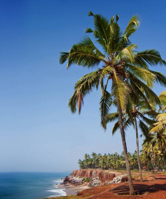 Escape to Varkala Planning a Picture Perfect Weekend in Keralas Coastal Gem