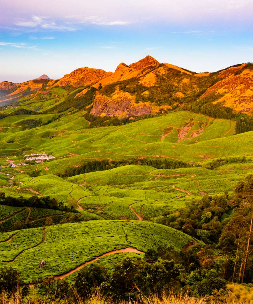 Munnar Magic Experience Natures Charm on a Weekend Retreat