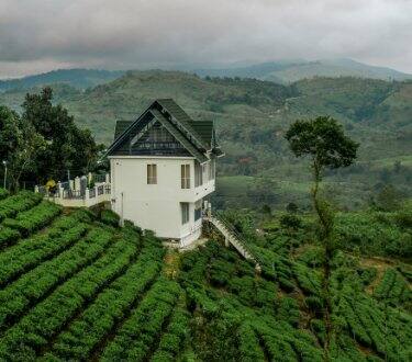 Places to Visit in Vagamon