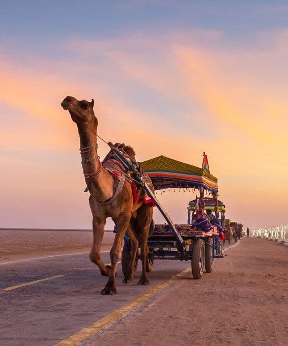 white-christmas-celebrating-amidst-the-sands-of-kutch