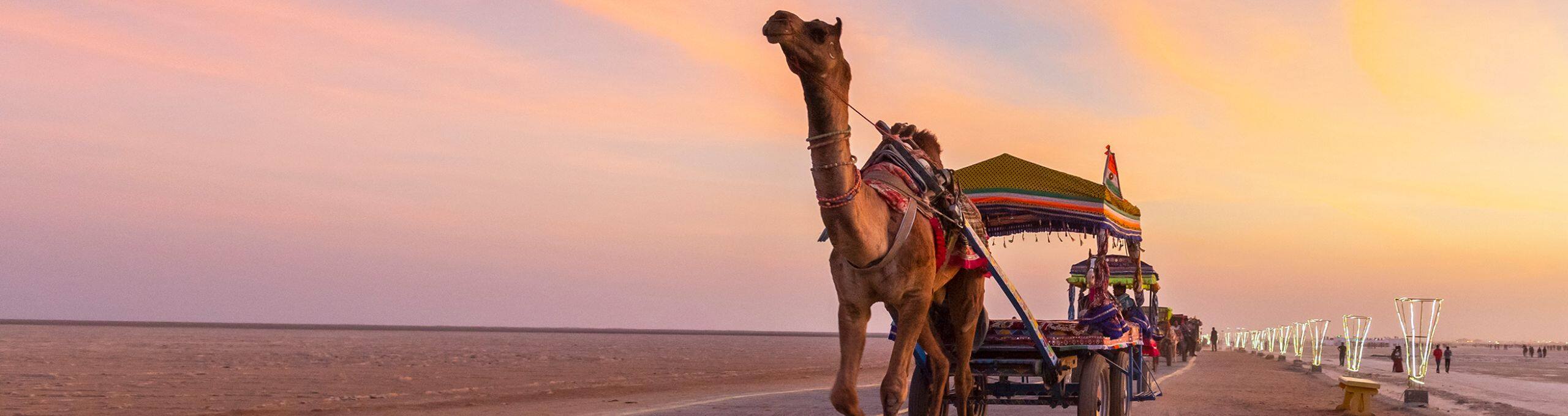 white-christmas-celebrating-amidst-the-sands-of-kutch