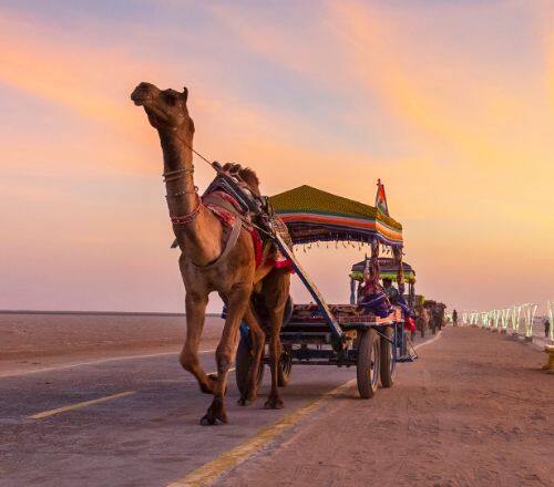 white-christmas-celebrating-amidst-the-sands-of-kutch