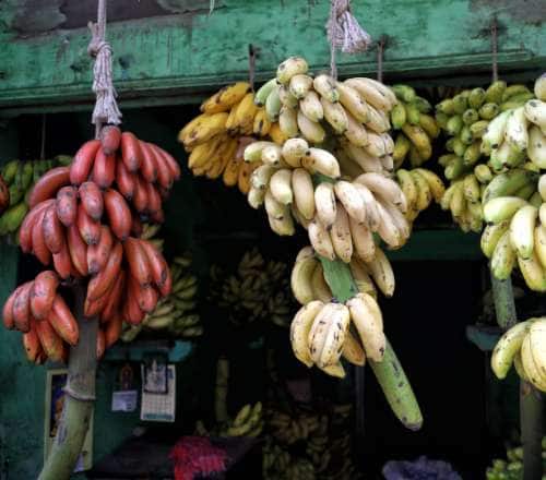 a-visit-to-the-banana-market-in-madurai