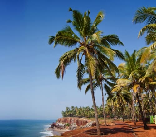 Escape to Varkala Planning a Picture Perfect Weekend in Keralas Coastal Gem