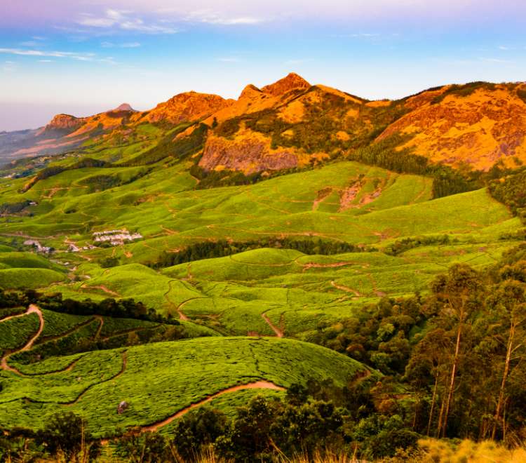 Munnar Magic Experience Natures Charm on a Weekend Retreat