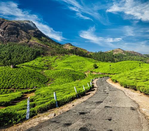 Thekkady to Munnar the Most Spectacular Road Trip in South India