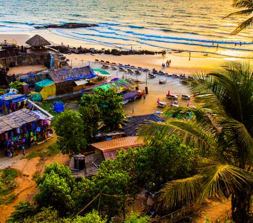 Wave Hello 5 Days on Goas Coastline