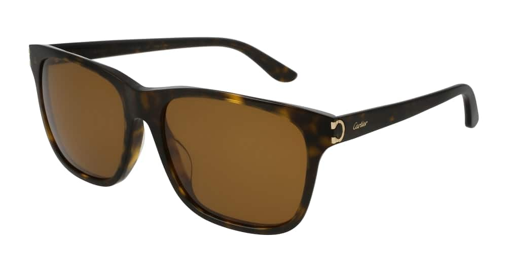 Cartier Man Sunglass CT0001SA-002